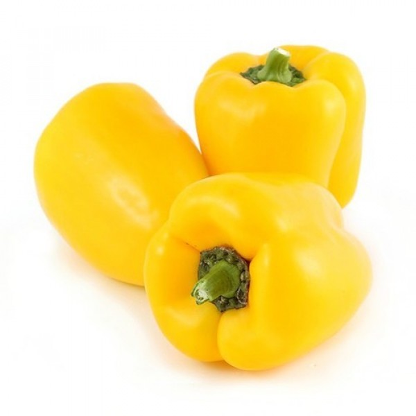 Omaxe Capsicum Yellow Imported (30 seeds)